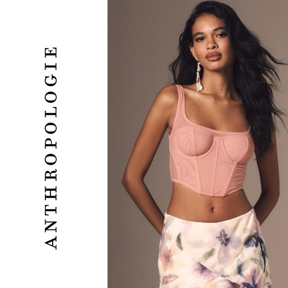 Anthropologie Mesh Corset Top in Raspberry - Picture 2 of 4